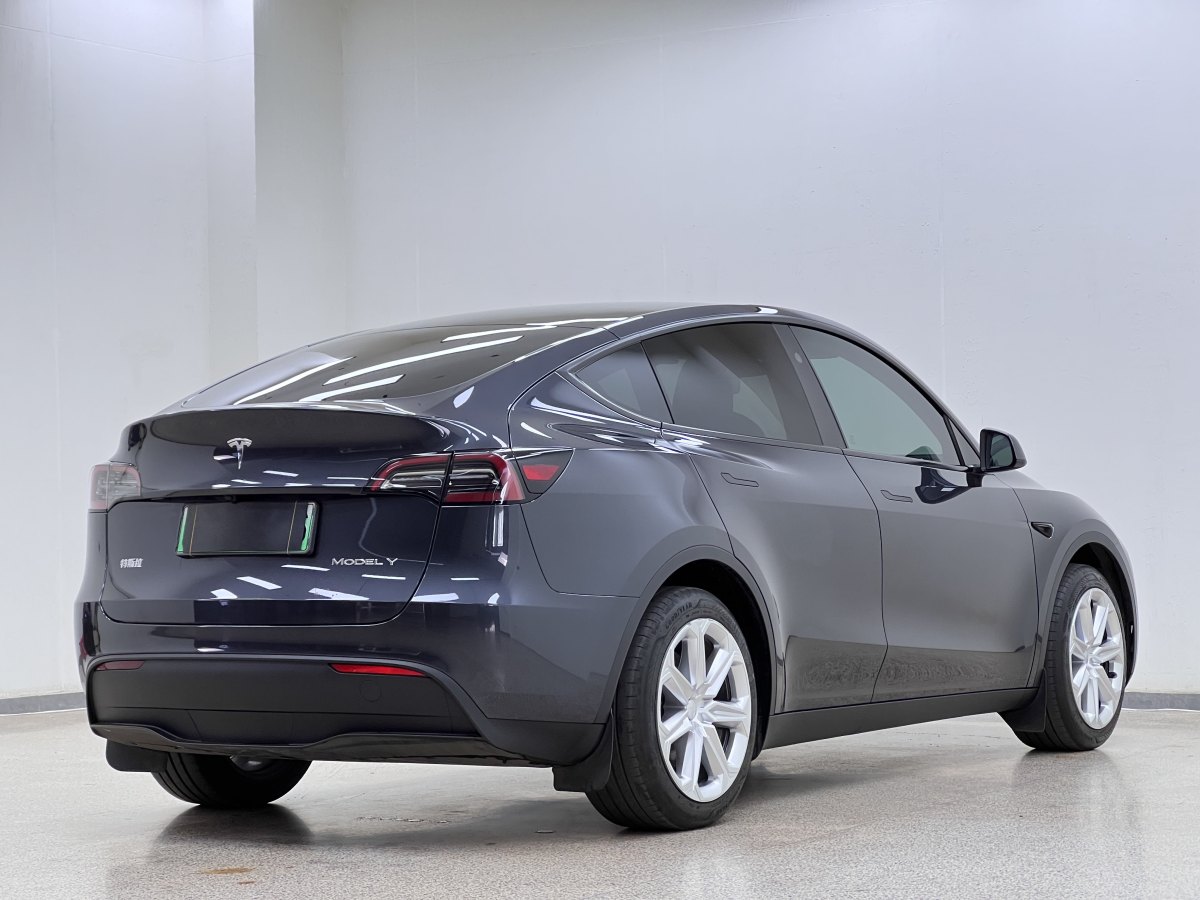 特斯拉 Model Y  2020款 改款 長續(xù)航后輪驅(qū)動(dòng)版圖片