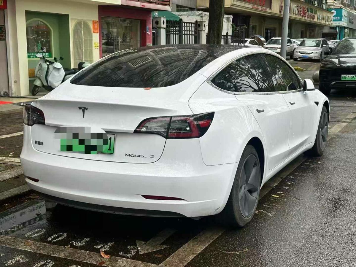 特斯拉 Model X  2020款 Performance 高性能版圖片