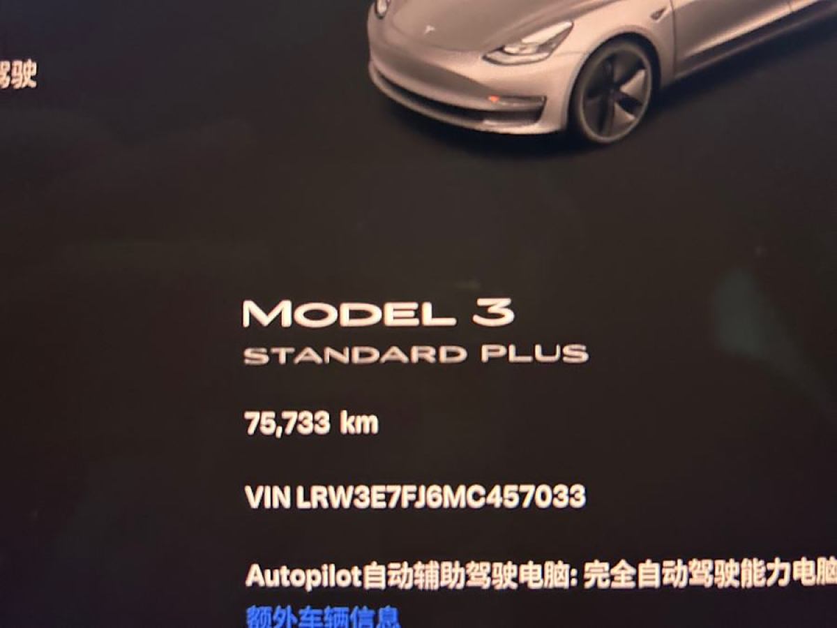 特斯拉 Model 3  2021款 標(biāo)準(zhǔn)續(xù)航后驅(qū)升級版 3D6圖片