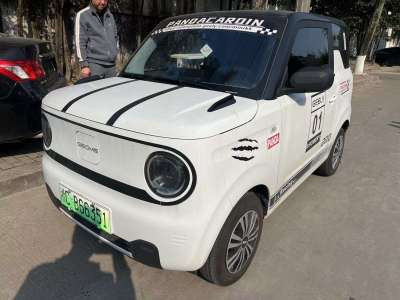 2024年10月 吉利 熊貓mini 200km 耐力熊圖片