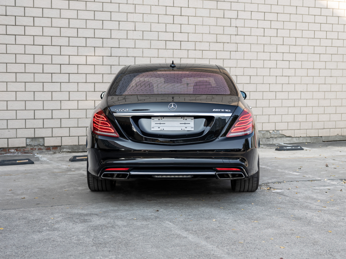 奔馳 奔馳S級(jí)AMG  2014款 AMG S 65 L圖片