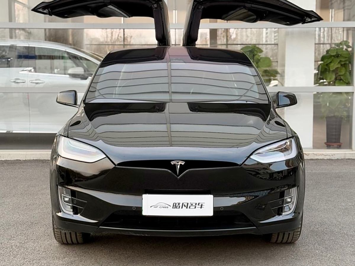 特斯拉 Model X  2019款 長續(xù)航版圖片