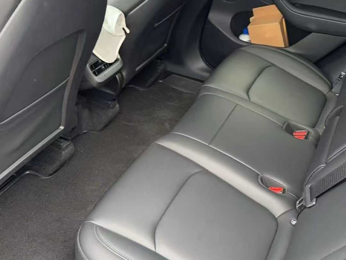 特斯拉 Model Y  2024款 Performance高性能版圖片
