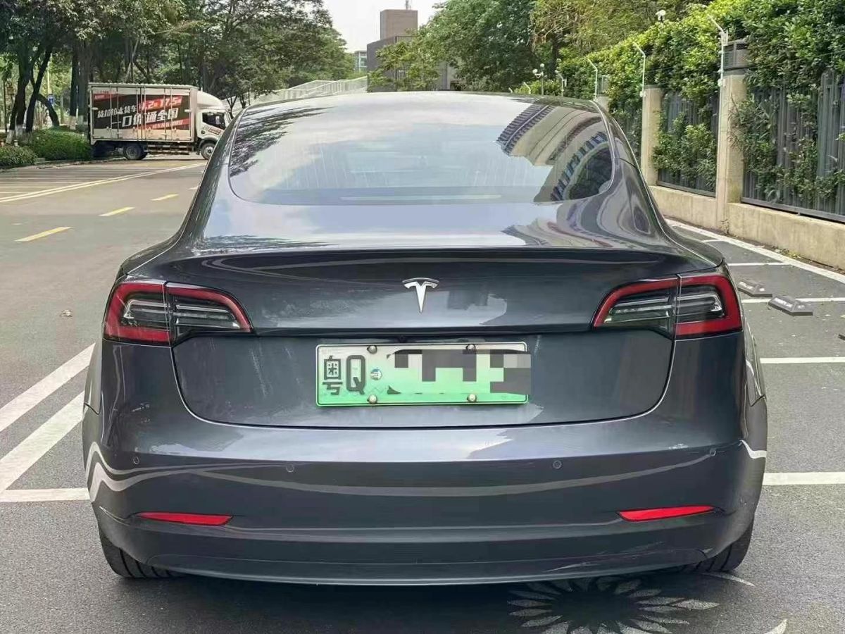 特斯拉 Model 3  2019款 長續(xù)航后驅(qū)版圖片
