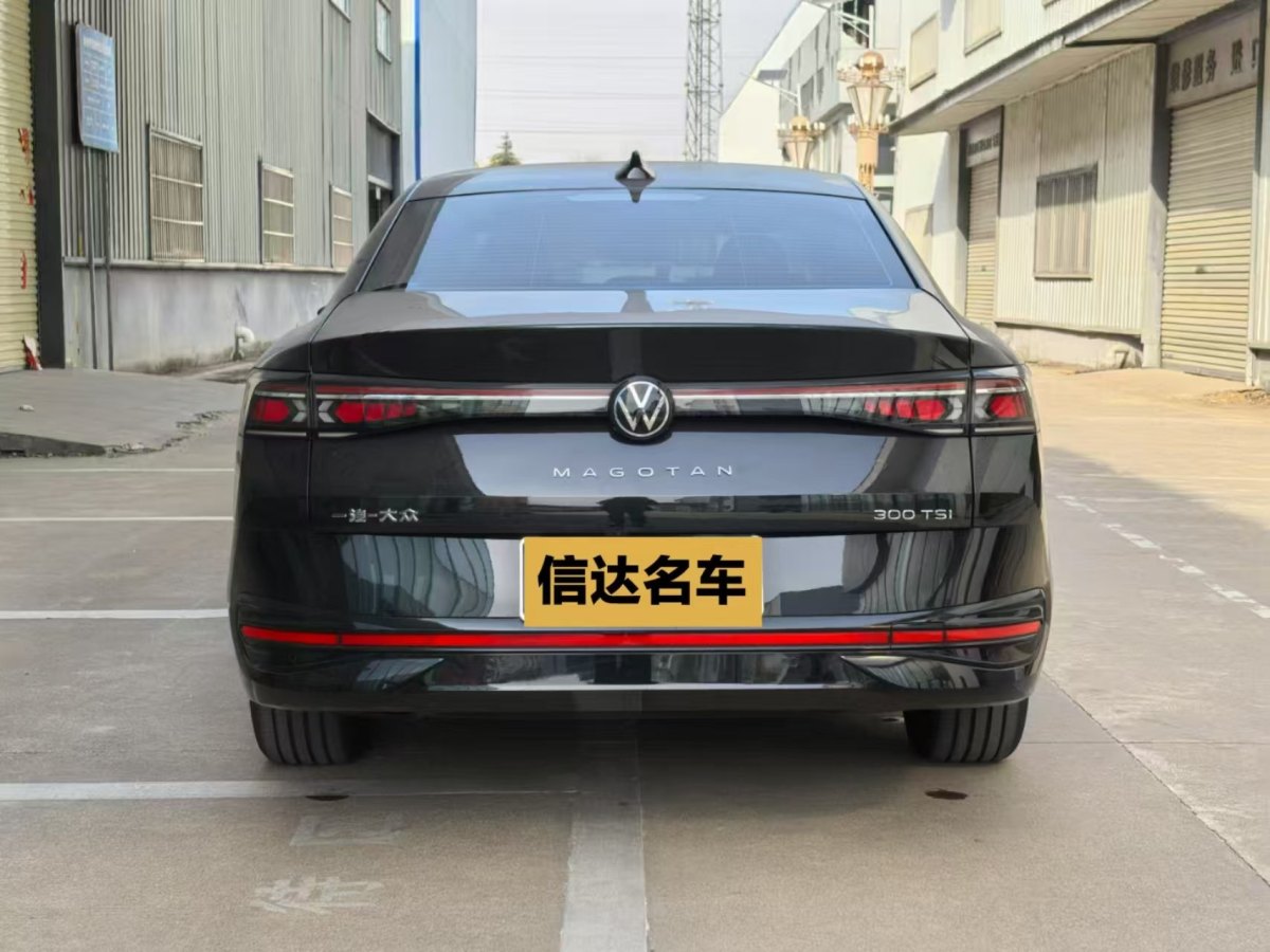 大眾 邁騰  2024款 300TSI DSG尊享版顯眼包圖片