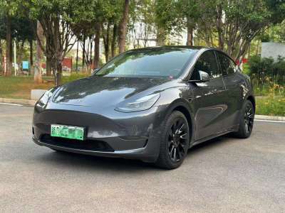 2021年1月 特斯拉 Model Y 长续航全轮驱动版图片