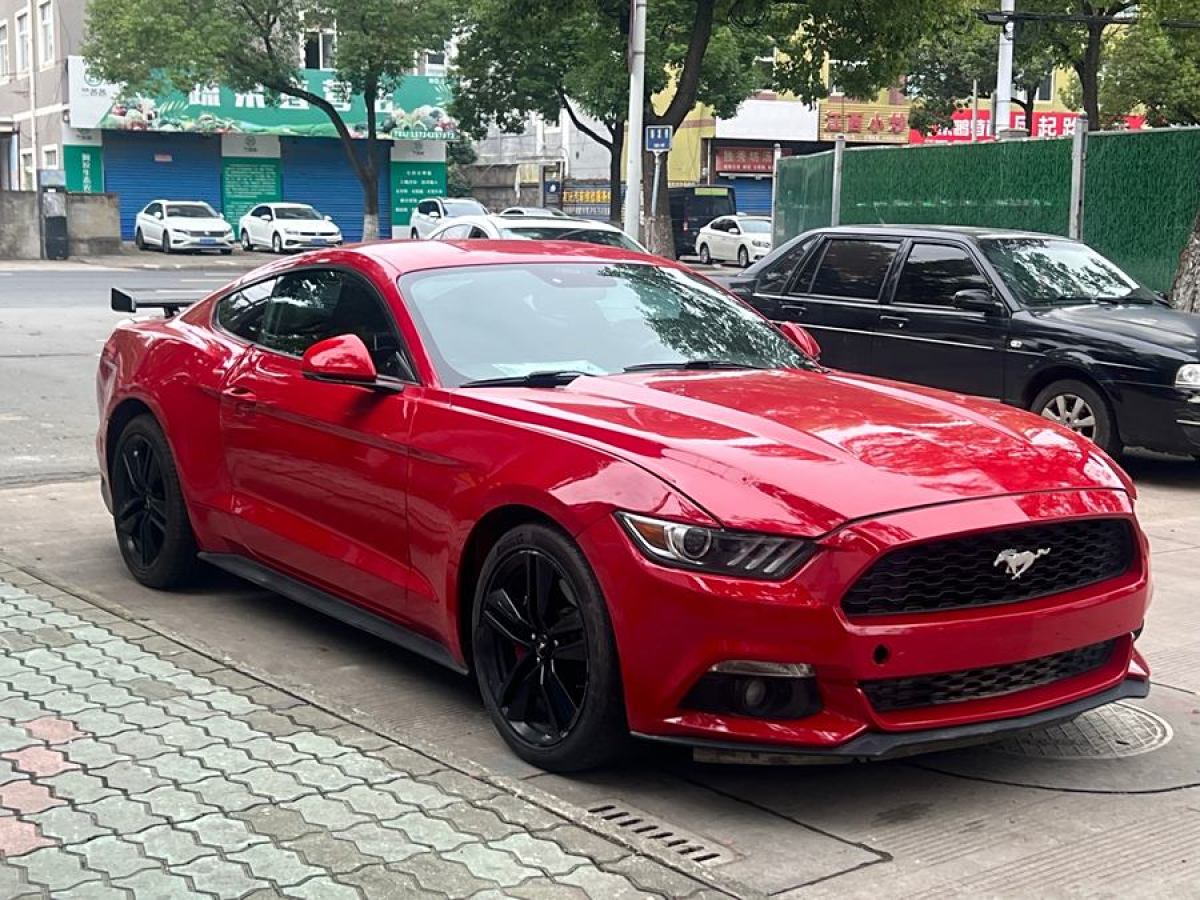 福特 Mustang  2015款 2.3T 50周年紀念版圖片