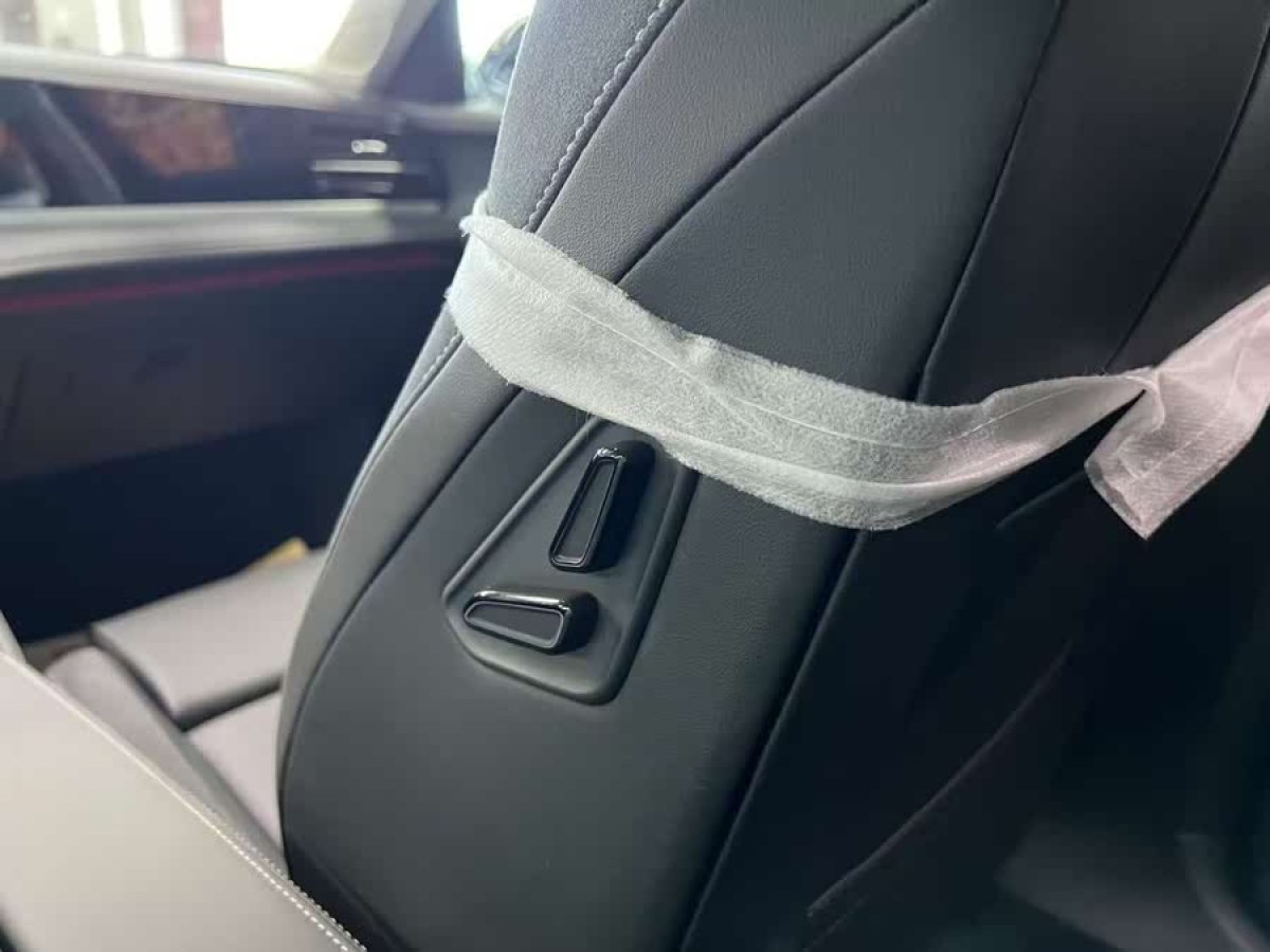 大眾 邁騰  2024款 380TSI DSG尊貴版圖片