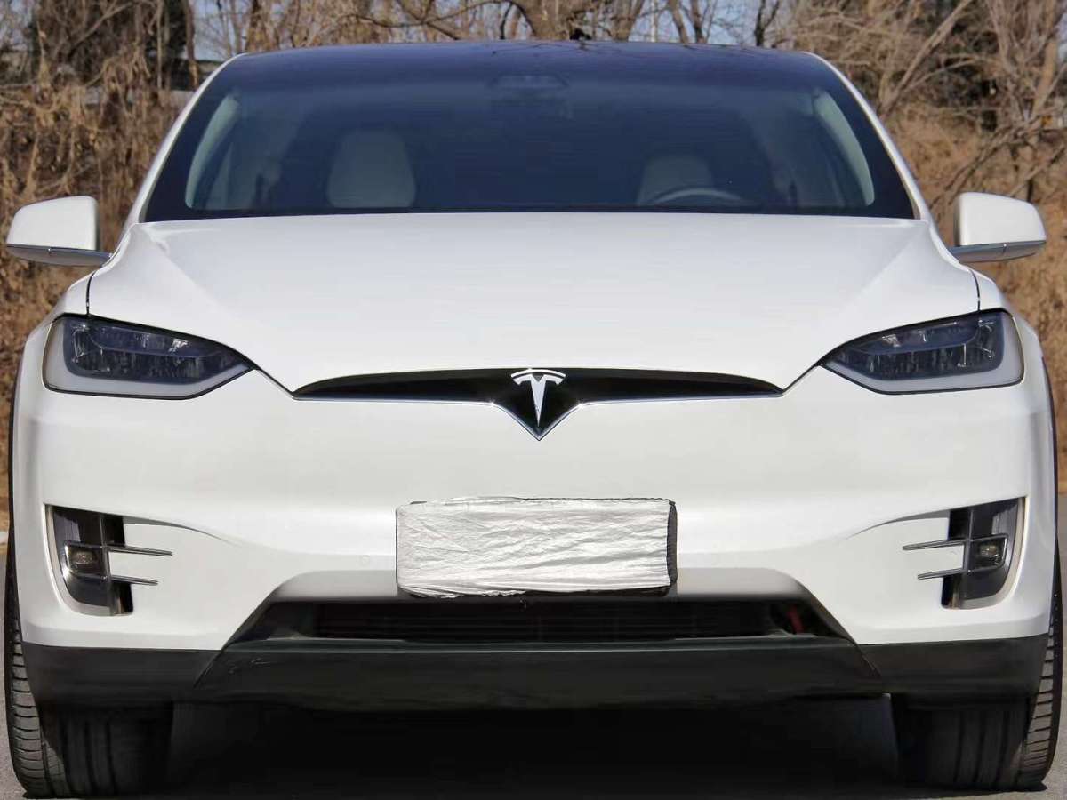 特斯拉 Model X  2017款 Model X 100D 長(zhǎng)續(xù)航版圖片