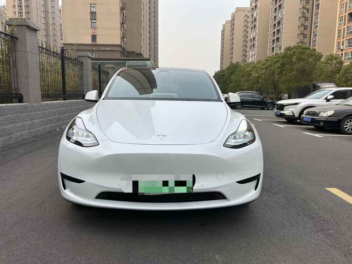 特斯拉 Model Y  2024款 Performance高性能版圖片