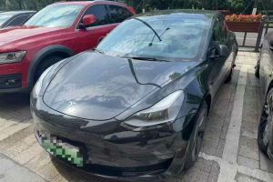 Model S 特斯拉 Performance 高性能版