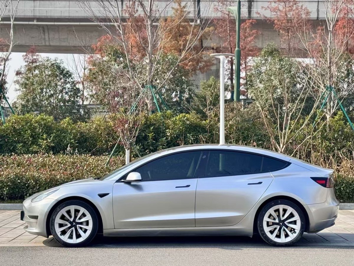 特斯拉 Model 3  2019款 標(biāo)準(zhǔn)續(xù)航后驅(qū)升級版圖片