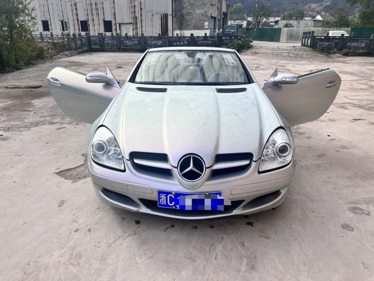 奔馳 奔馳SLK級  2006款 SLK 280圖片