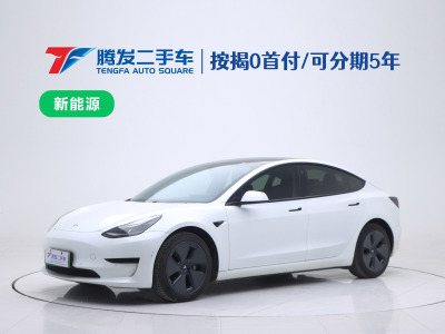 2021年1月 特斯拉 Model 3 標(biāo)準(zhǔn)續(xù)航后驅(qū)升級(jí)版圖片