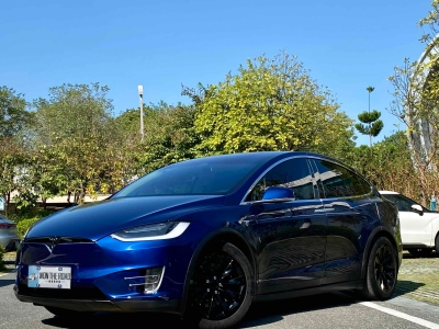 2019年5月 特斯拉 Model X Model X 100D 長續(xù)航版圖片