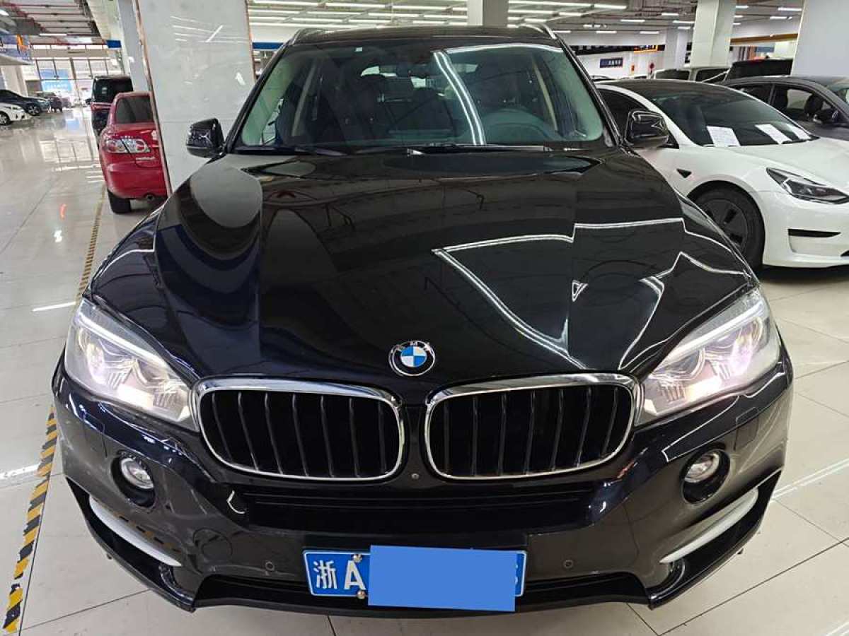 寶馬 寶馬X5  2014款 xDrive35i 領(lǐng)先型圖片