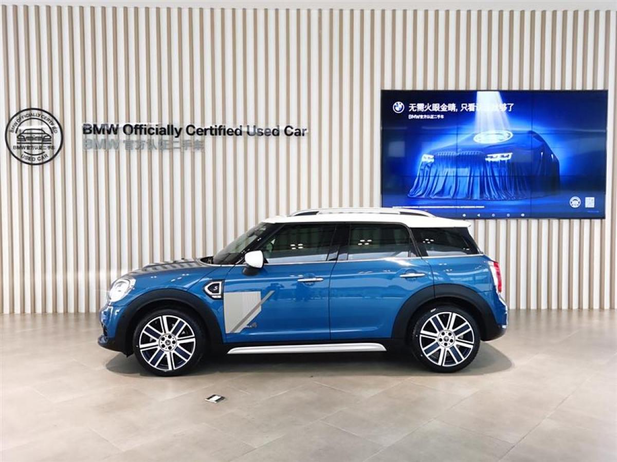 MINI COUNTRYMAN  2019款 2.0T COOPER S ALL4 藝術(shù)家圖片