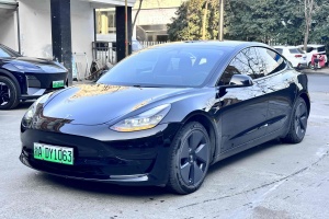 Model 3 特斯拉 標(biāo)準(zhǔn)續(xù)航后驅(qū)升級(jí)版