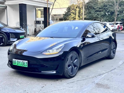 2021年2月 特斯拉 Model 3 標(biāo)準(zhǔn)續(xù)航后驅(qū)升級(jí)版圖片