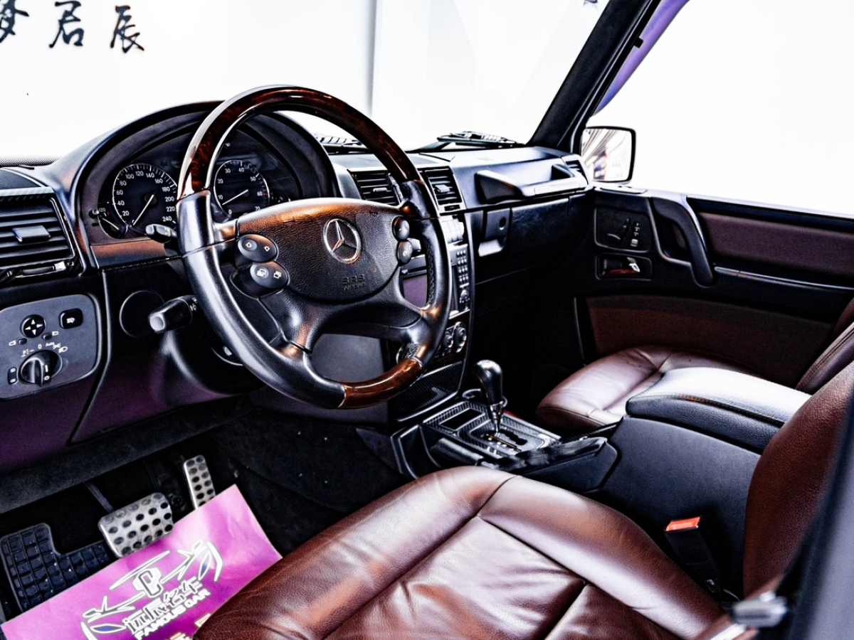 奔驰 奔驰G级  2010款 G 500图片
