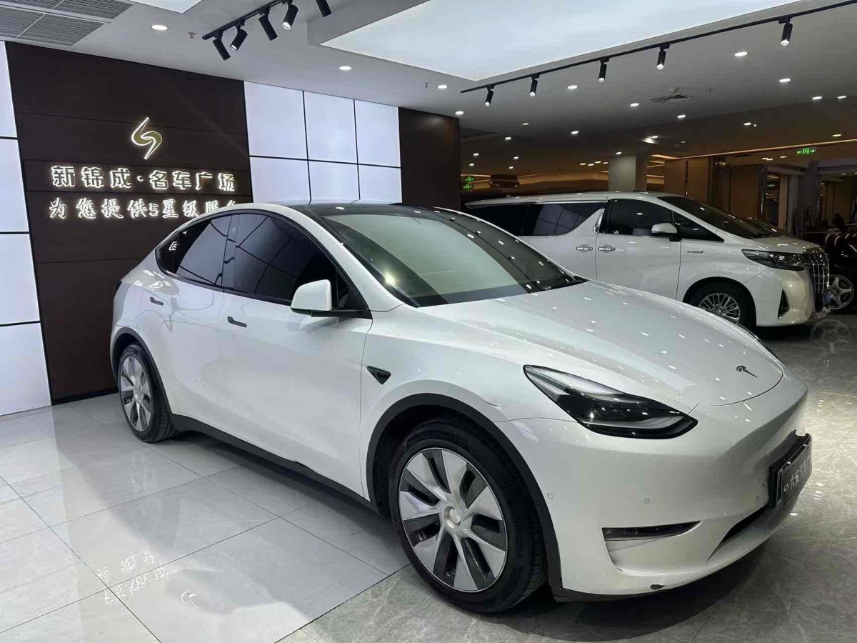 特斯拉 Model Y  2021款 改款 標(biāo)準(zhǔn)續(xù)航后驅(qū)升級(jí)版圖片