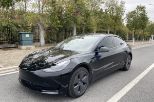 Model Y 特斯拉 改款 后轮驱动版