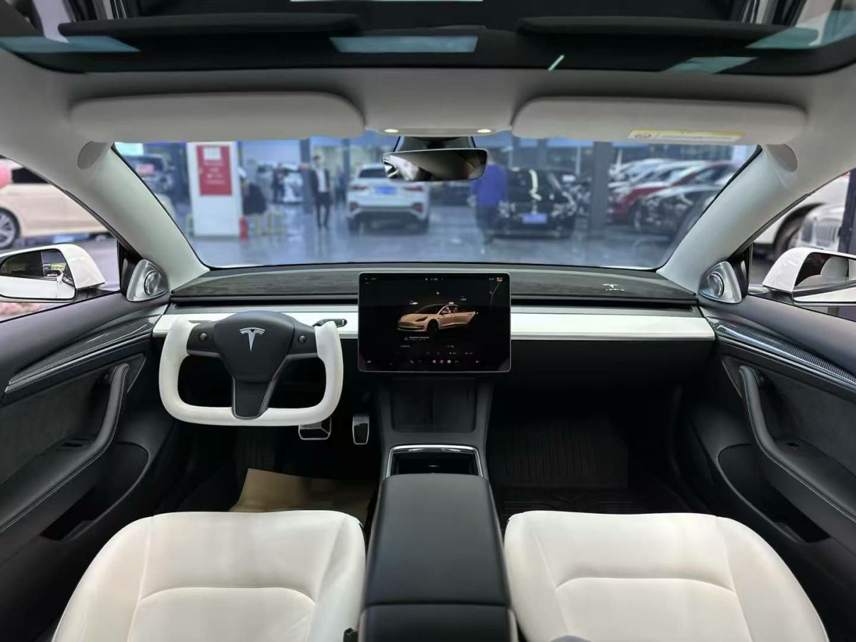 特斯拉 Model 3  2022款 Performance高性能全輪驅(qū)動版圖片