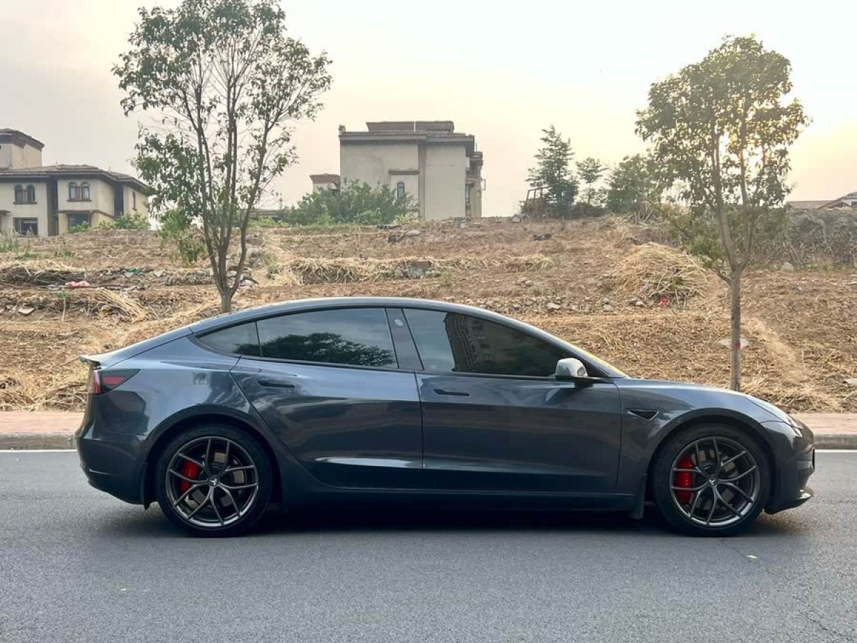 特斯拉 Model 3  2022款 Performance高性能全輪驅(qū)動(dòng)版圖片