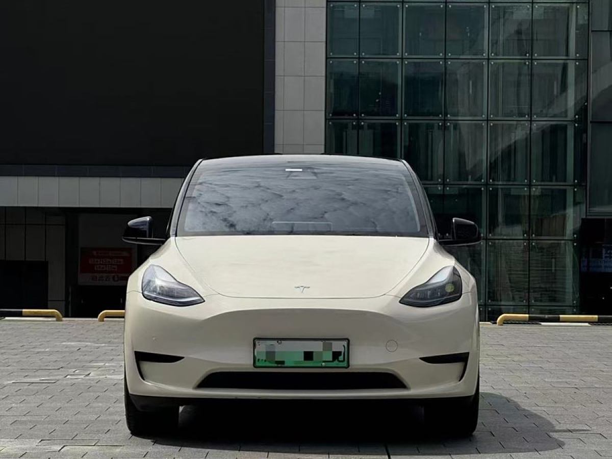 2023年6月特斯拉 Model Y  2020款 改款 長續(xù)航后輪驅(qū)動版