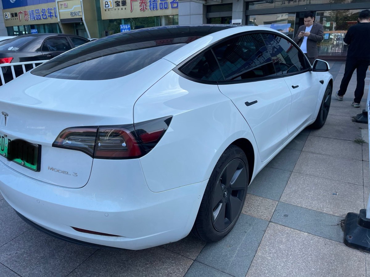 2022年2月特斯拉 Model 3  2022款 改款 后輪驅(qū)動版