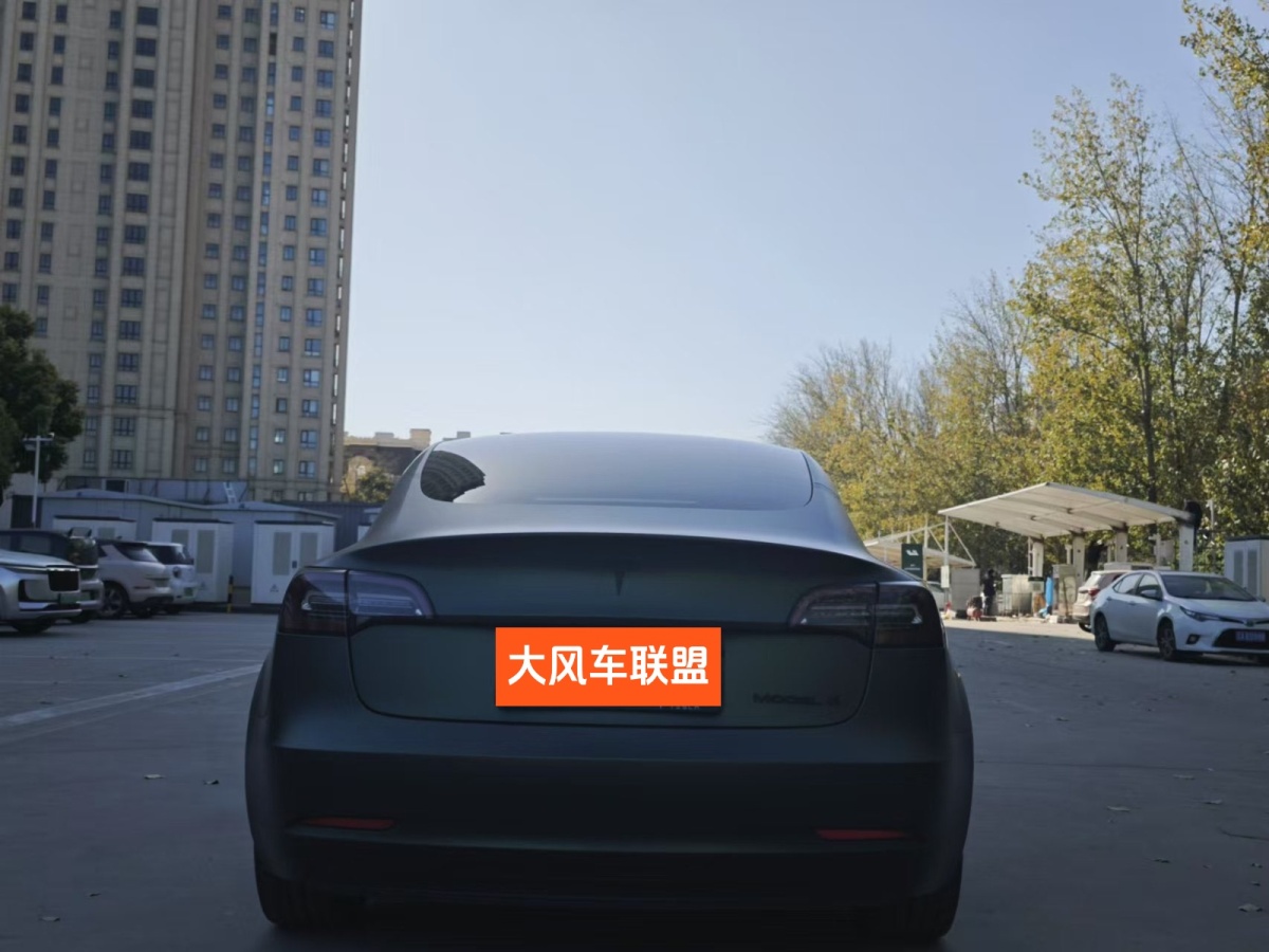 特斯拉 Model 3  2020款 改款 長續(xù)航后輪驅(qū)動(dòng)版圖片