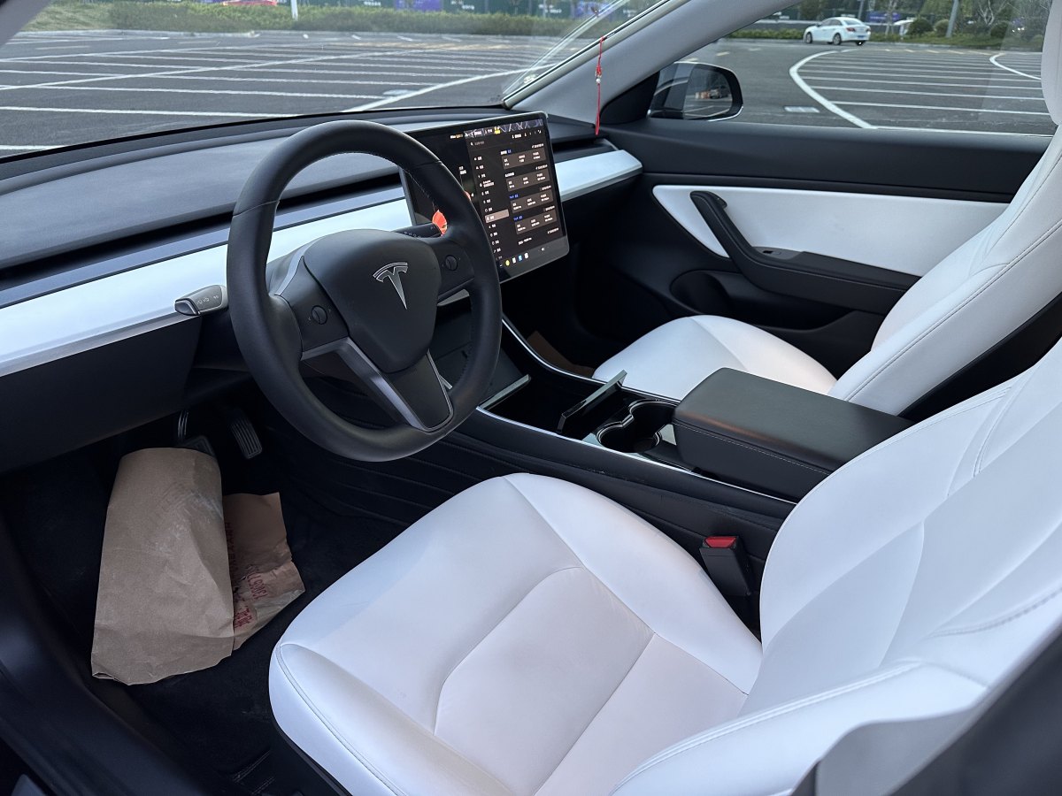 2020年6月特斯拉 Model 3  2019款 標準續(xù)航后驅升級版