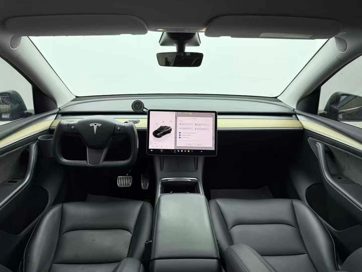 特斯拉 Model Y  2022款 Performance高性能全輪驅(qū)動(dòng)版圖片