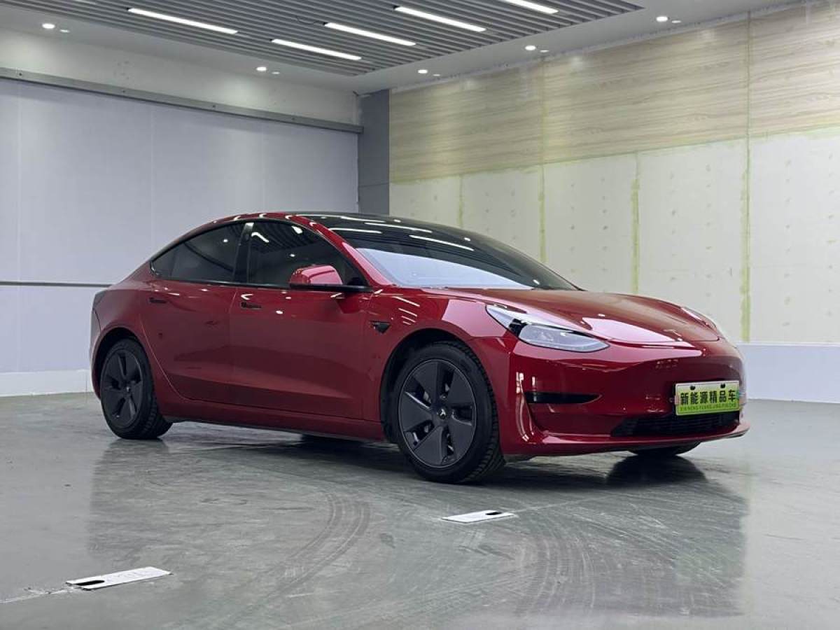 特斯拉 Model 3  2021款 改款 標(biāo)準(zhǔn)續(xù)航后驅(qū)升級(jí)版圖片