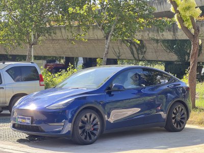 2022年9月 特斯拉 Model Y Performance高性能全輪驅(qū)動版圖片