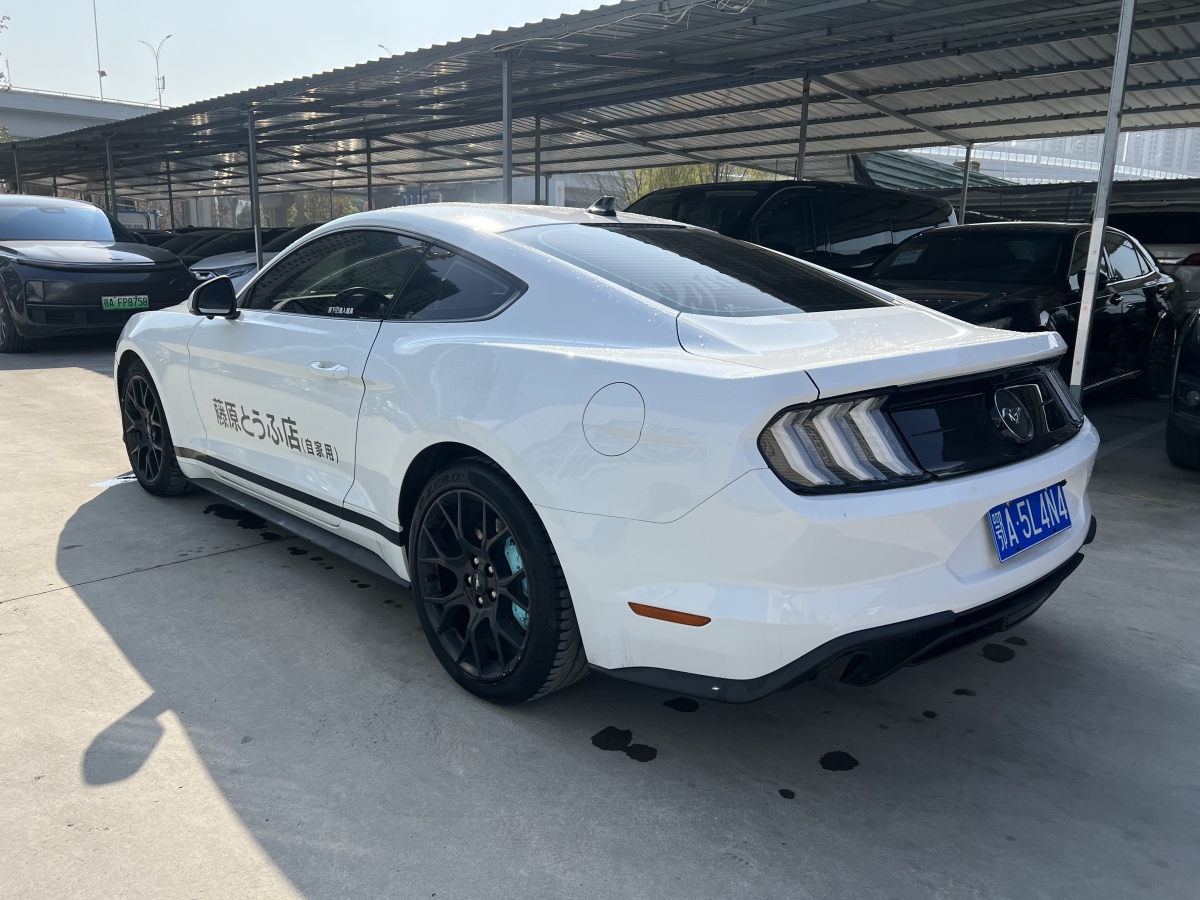 福特 Mustang  2021款 2.3L EcoBoost 黑曜魅影特別版圖片