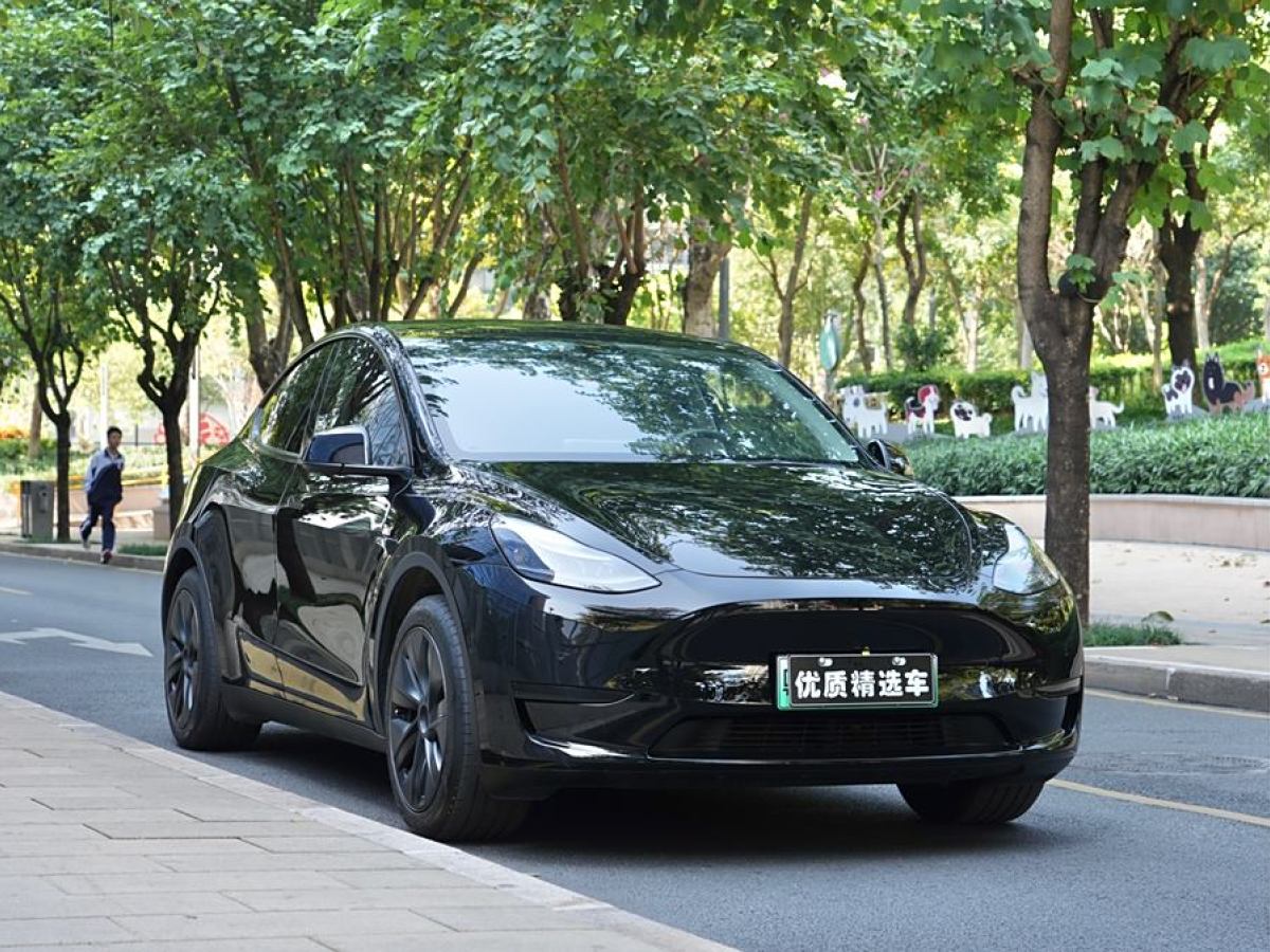 特斯拉 Model 3  2023款 煥新版 后輪驅(qū)動圖片