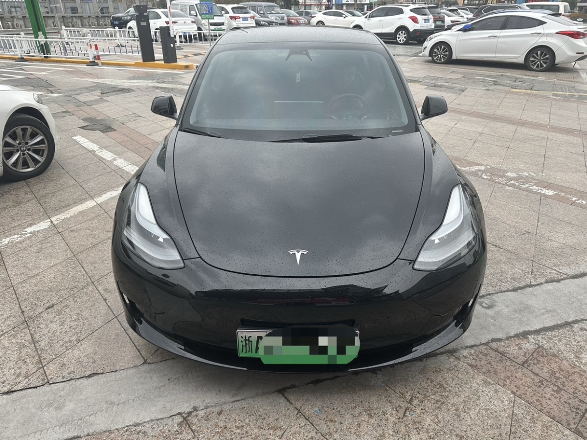 特斯拉 Model 3  2021款 標準續(xù)航后驅升級版 3D6圖片