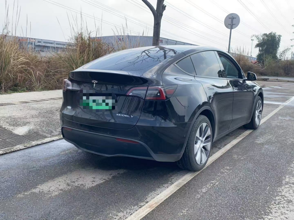 特斯拉 Model 3  2020款 改款 長(zhǎng)續(xù)航后輪驅(qū)動(dòng)版圖片