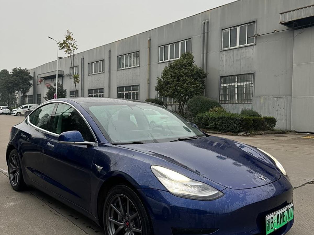 特斯拉 Model 3  2020款 改款 標準續(xù)航后驅(qū)升級版圖片