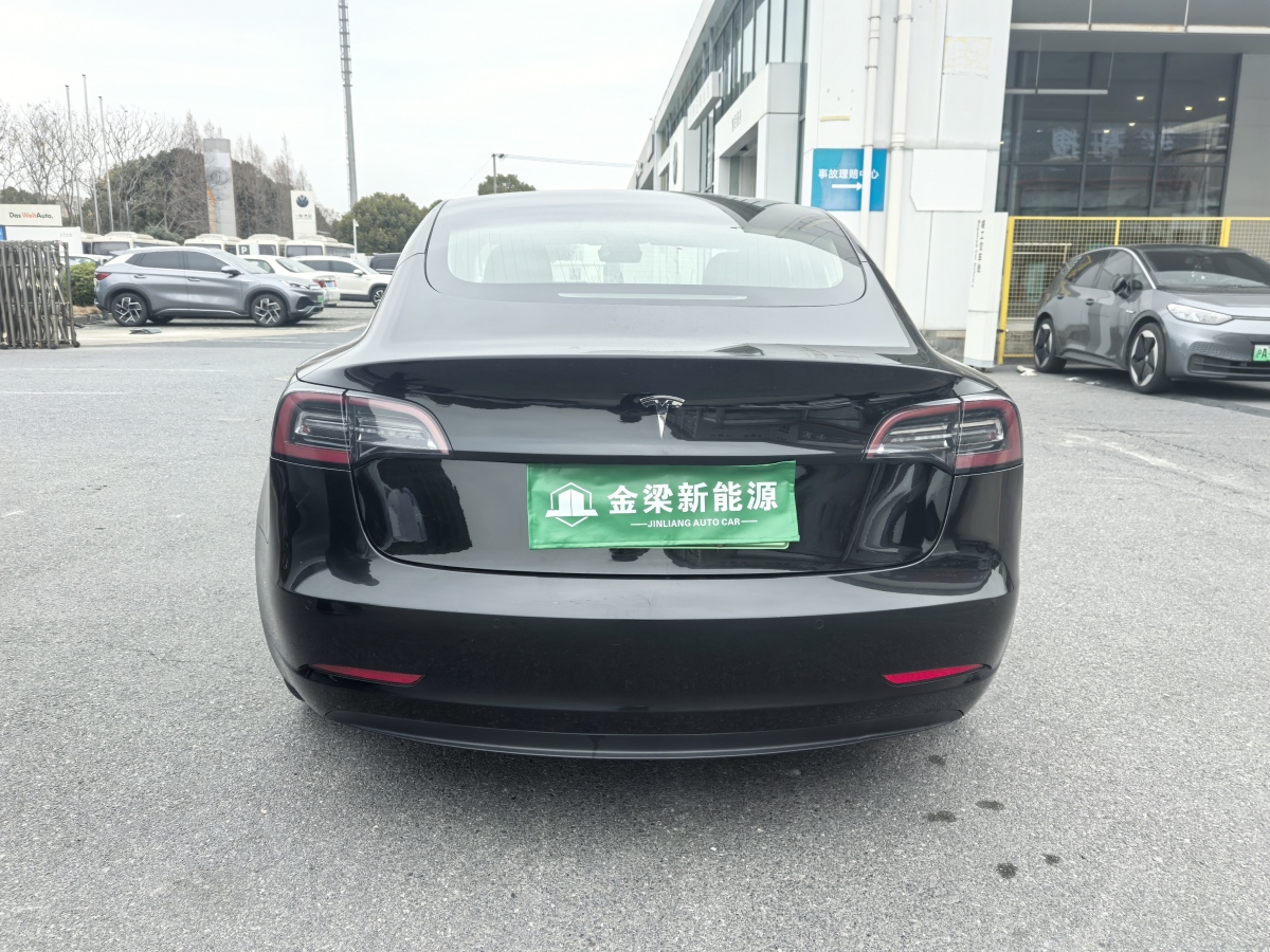 特斯拉 Model 3  2019款 標(biāo)準(zhǔn)續(xù)航后驅(qū)升級版圖片