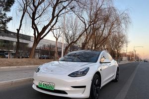 Model 3 特斯拉 改款 標(biāo)準(zhǔn)續(xù)航后驅(qū)升級(jí)版