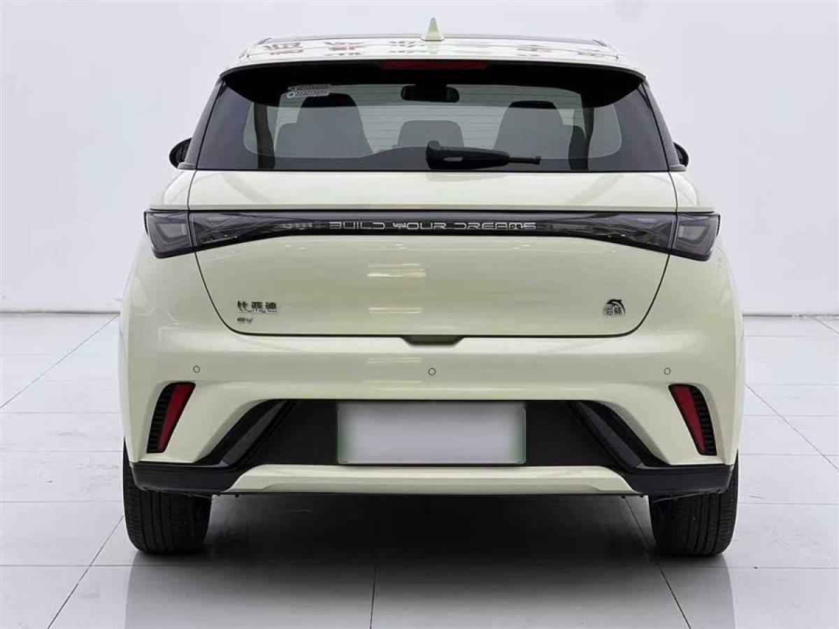 比亞迪 海豚  2023款 420km 時(shí)尚版圖片