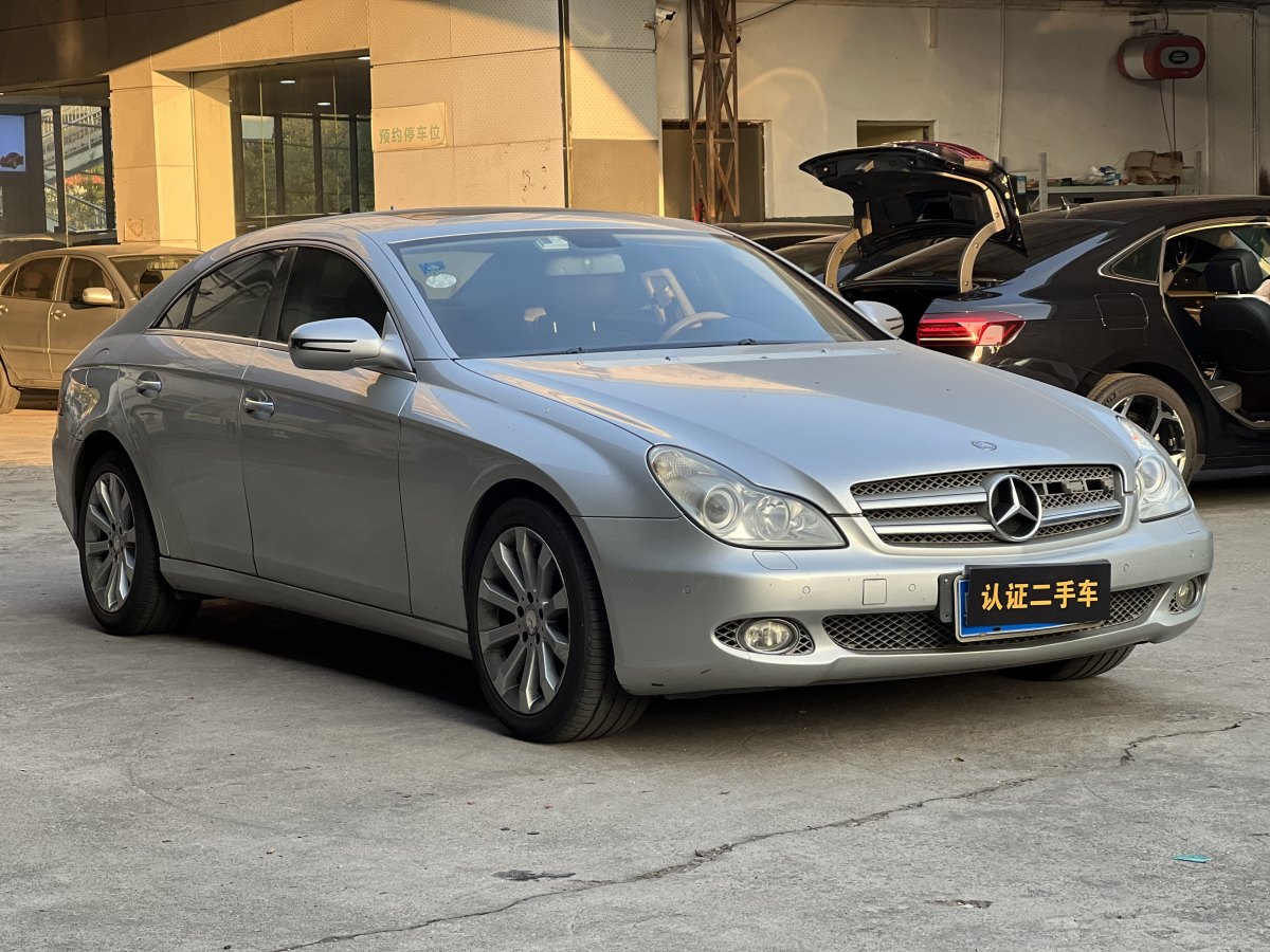 奔馳 奔馳CLS級  2009款 CLS 300圖片