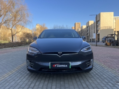 2019年5月 特斯拉 Model X 標(biāo)準(zhǔn)續(xù)航版圖片