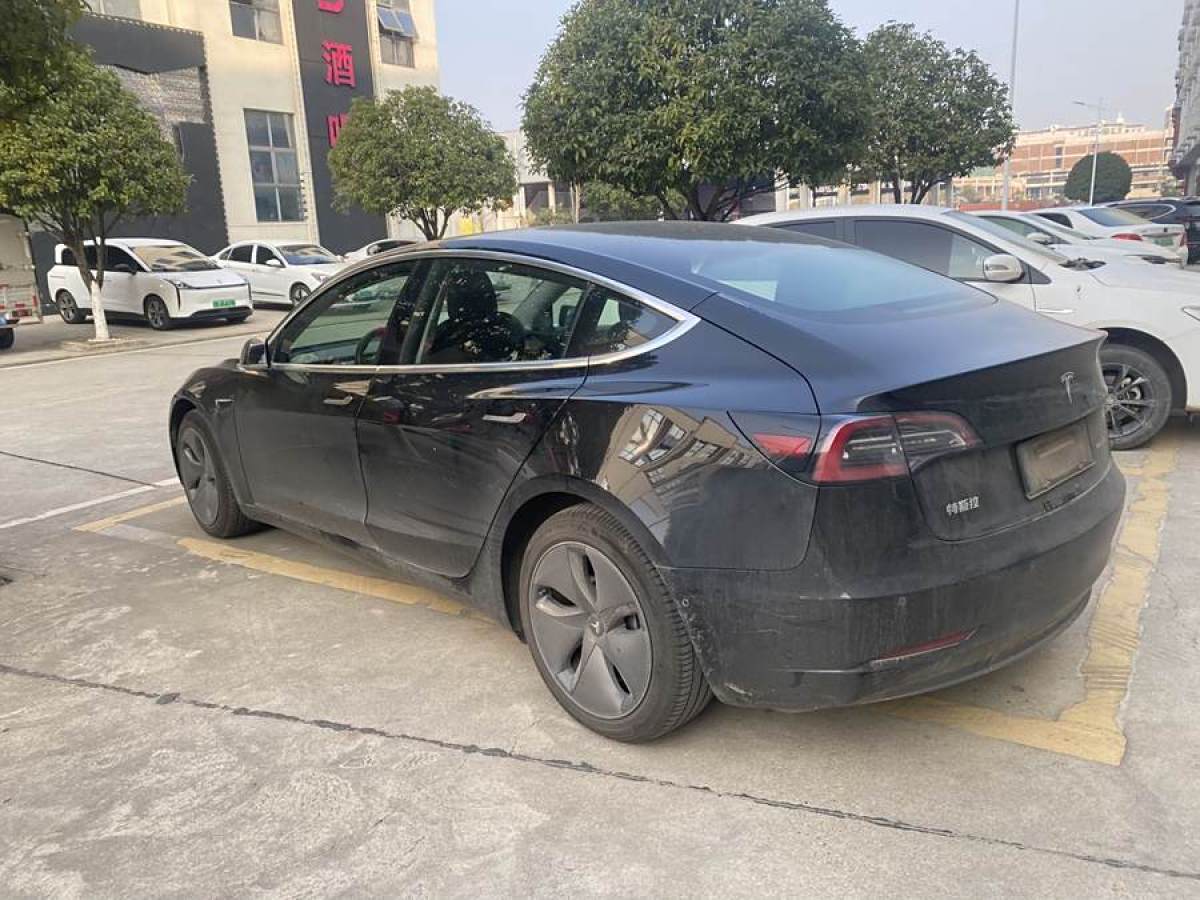 特斯拉 Model 3  2021款 改款 標(biāo)準(zhǔn)續(xù)航后驅(qū)升級版圖片