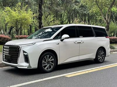 2022年11月 上汽大通 上汽大通MAXUS G90 2.0T 星云七座版圖片