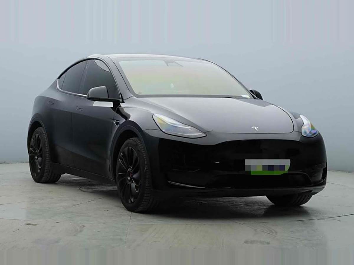 特斯拉 Model Y  2022款 后輪驅(qū)動(dòng)版圖片