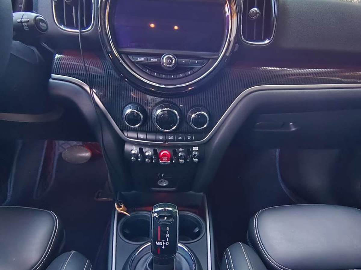 MINI COUNTRYMAN  2019款 2.0T COOPER S ALL4 藝術(shù)家圖片