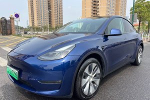 Model Y 特斯拉 改款 長續(xù)航全輪驅(qū)動版